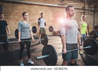 Serious Muscular Bearded Man In Shorts And Gray Tee Shirt Leading Small Group Of Young Adults In Barbell Exercises For Fitness Training