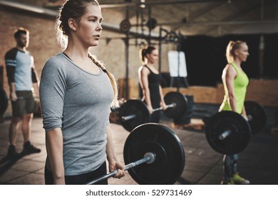 Serious Muscular Young Woman With Ponytail And Gray Shirt Performing Dead Lift Barbell Exercises With Three Other Trainees