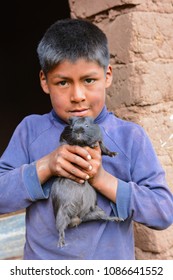 Serious Native American Boy Holding Black Guinea Pig In The Countryside.