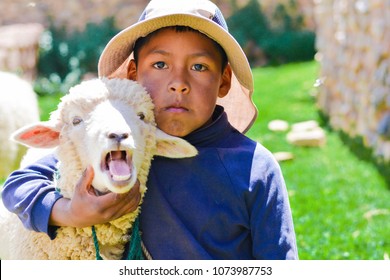 Serious Native American Child With A Sheep.