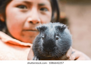 Serious Native American Kid Holding Black Guinea Pig.