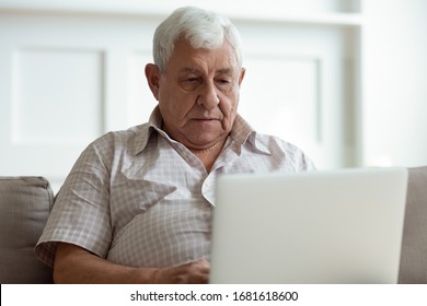 Serious Older Man Using Laptop Close Up, Looking At Screen, Watching Video Or Surfing Internet, Focused Mature Male Using Online Clinic Service Or Searching Insurance Information, Medical App