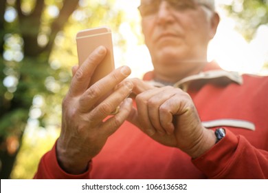 Serious Senior Man  Standing In Forest And Using Smart Phone. 