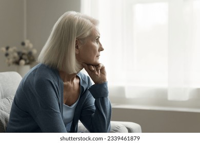 Serious thoughtful blonde senior lady sitting on couch at home, looking at window away in deep sad thoughts, leaning chin on hand, feeling depressed, thinking on problems - Powered by Shutterstock