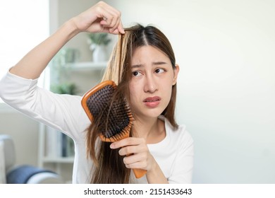 Serious, Worried Asian Young Woman, Girl Holding Brush, Show Her Comb, Hairbrush With Long Loss Hair Problem After Brushing, Hair Fall Out On Her Hand In Living Room. Health Care, Beauty Treatment.