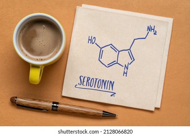 Serotonin-Molekül-chemische Struktur, eine der Zufriedenheitschemikalien des Gehirns - grobe Skizze auf einer Serotonin mit einer Tasse Kaffee, Chemie und Physiologie-Konzept