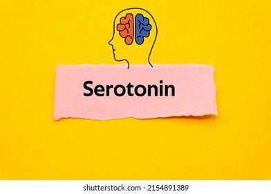 Serotonin.The word is written on a slip of colored paper. Psychological terms, psychologic words, Spiritual terminology. psychiatric research. Mental Health Buzzwords.