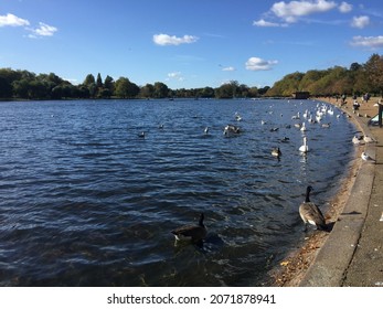 Serpentine Lake In London, England