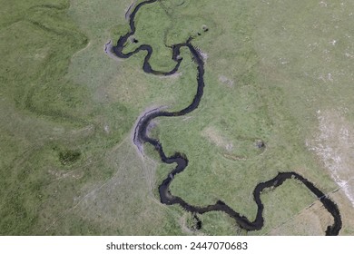 Serpentine River Creating Natural Patterns in an Aerial View of a Lush Green Wetland