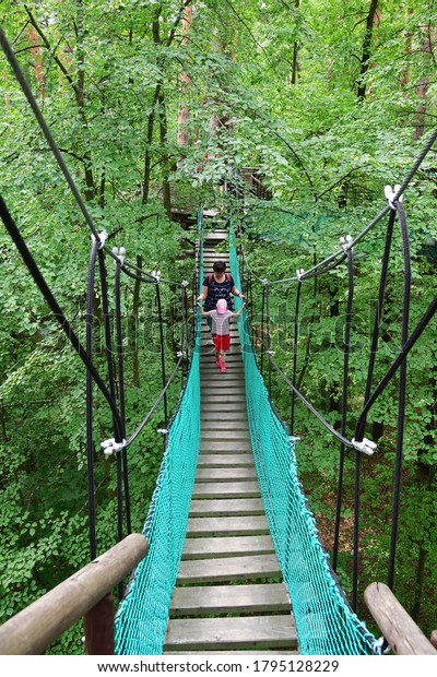 Serpukhov, Russia\
- Jul 13, 2020: Tourists on the rope path in of dense forest.\
Hiking bridge suspended over low part of forest, passing through it\
among heights of tree\
trunks