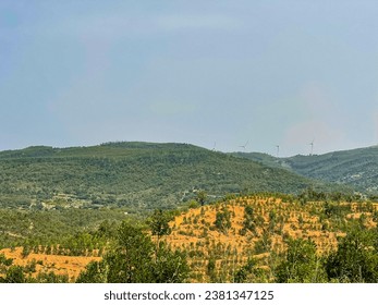 Serra de Monchique, Foya Mountains, Picota Mountains, Algarve Mountains