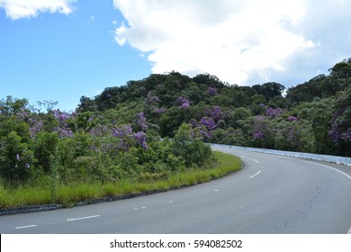 Serra Do Mar, Highway Oswaldo Cruz, Brazil