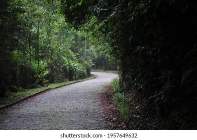 Serra Dos Órgãos National Park, Teresópolis, RJ, DEC 28 TH, 2017