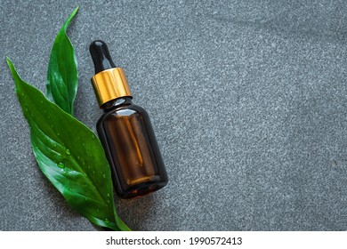 Serum bottle and green leaves on gray stone background, copy space. Essential oil, fluid, plant extract, bio skincare serum.