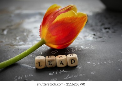 Servant Leadership Letters On Dark Background And Tulip