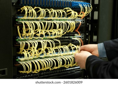 Server cable management, database, server rooms. High quality photo