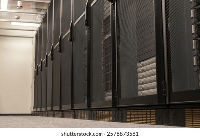Server racks with built-in servers in a data center