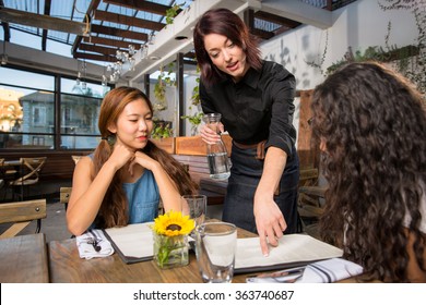 Server waiter pointing to menu for patron customer helping at table lunch