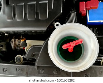 Service Car,Mechanic Pouring Coolant Into New Radiator