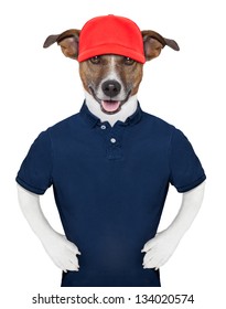 Service Dog Wearing A Blue Polo And A Red Cap