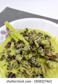 Siput Sedut Hd Stock Images Shutterstock