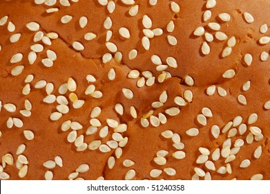 Sesame Bun Top View Macro Texture Background