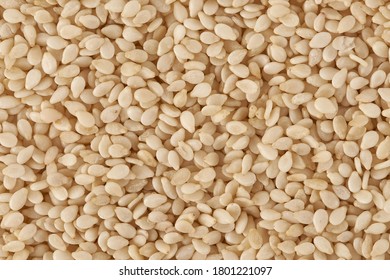 Sesame Seeds Scattered Macro Isolated Texture Close-up