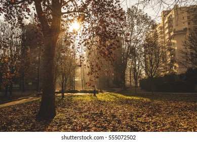 Sesto San Giovanni Public Garden