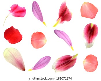 petals of
