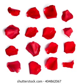 Set of 16 red rose petals on white background