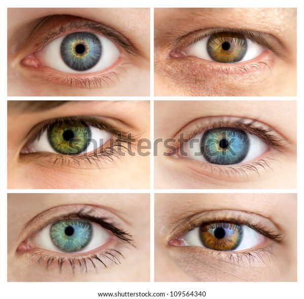 Set of\
6 Real Different Open Eyes / Huge Size /\
Macro