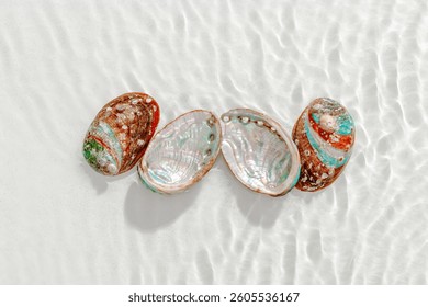 Set of abalone seashells floating on clear white water with sun glare and waves. Shells of natural iridescent and rough textures. Minimal style  top view pattern sea ocean life background, copyspace