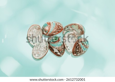 Set of Abalone seashells floating on clear turquoise water with sun glare and waves. Shells of natural iridescent and rough textures. Minimal style top view pattern sea and ocean life background