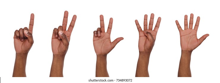 Set of african american male hand show counting one, two, three, four, five. Isolated at white background