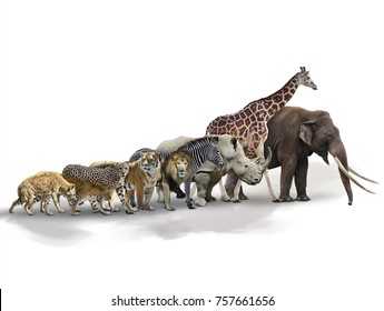 Set African Animals On White Background Stock Photo 757661656 ...