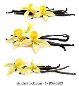 Vanilla Flower Images, Stock Photos & Vectors | Shutterstock