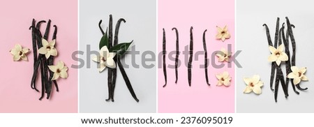Set of aromatic vanilla sticks and flowers on color background