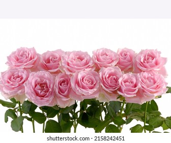 Set Of Arrangement Pink Rose With Stem On White Background 