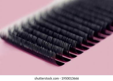 Set artificial black lashes pink isolated background, eyelash extension.