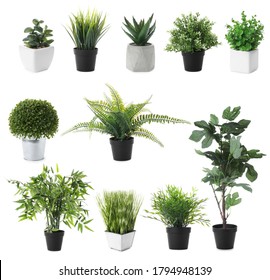 Set Of Artificial Plants In Flower Pots Isolated On White