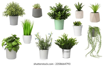 Set of artificial plants in flower pots isolated on white - Powered by Shutterstock