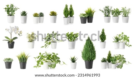 Set of artificial plants on white background