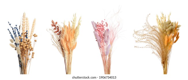 Set with beautiful decorative dry flowers on white background, banner design  - Shutterstock ID 1906734013