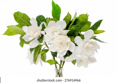 Set From Beautiful Gardenia Bouquet
