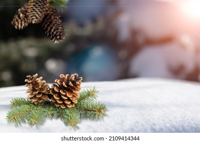 Set of beautiful pinecone flower shap in christmas winter background