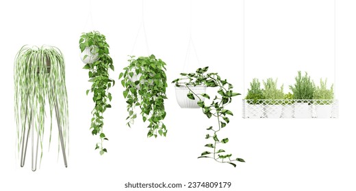 Set of beautiful plants hanging in ceramic pots isolated on transparent background, 3D rendering, for illustration, digital composition and architecture visualization - Powered by Shutterstock
