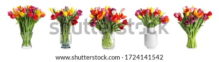 Set with beautiful tulip flowers on white background. Banner design