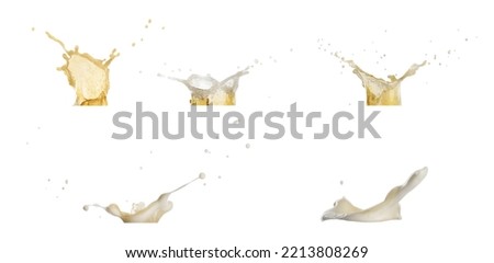 Set with beer splashes on white background. Banner design