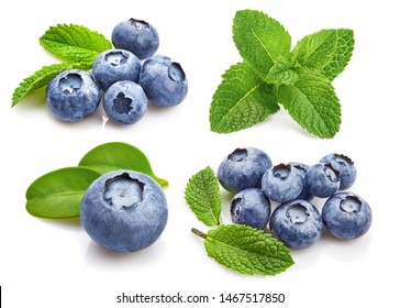 Set Berry Blueberry with Leaf mint. Fruity Still Life for Packing. Isolated on White Background, blueberries isolated.