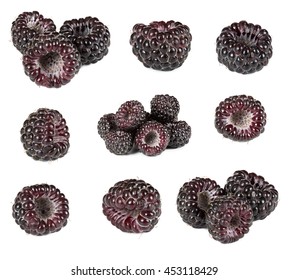 Set of black raspberries isolated on white background